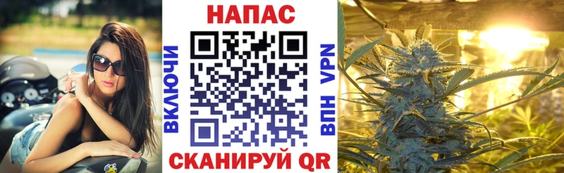 Шишки марихуана OG Kush  закладка  Вязьма 